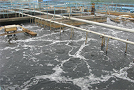 污水处理药剂,水处理药剂