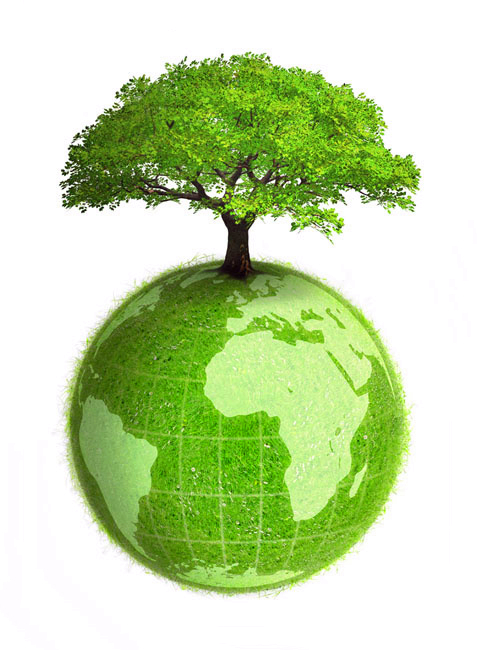 曝气池污泥，污泥老化，判断和解决污泥老化