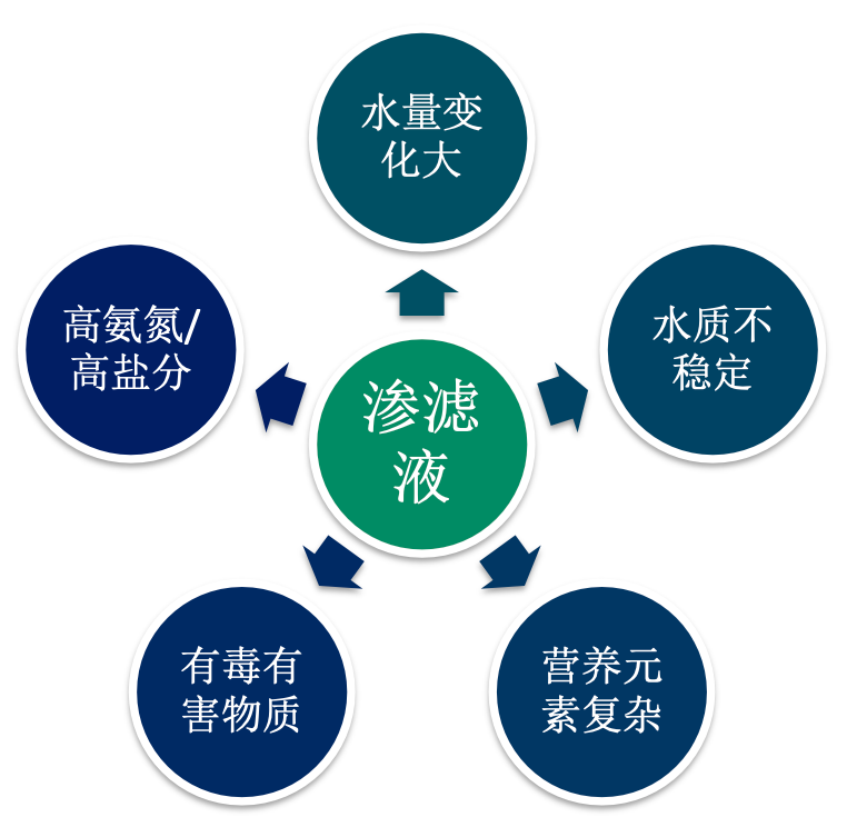 污水处理，垃圾渗滤液，高氨氮